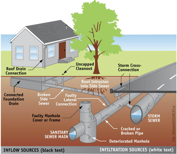 drawing of water system under a house and tree
