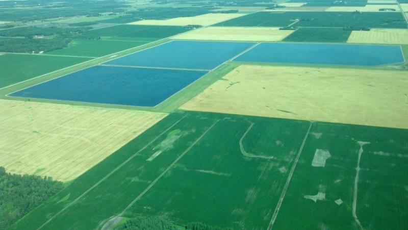 wastewater treatment ponds