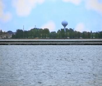 pond and water tower