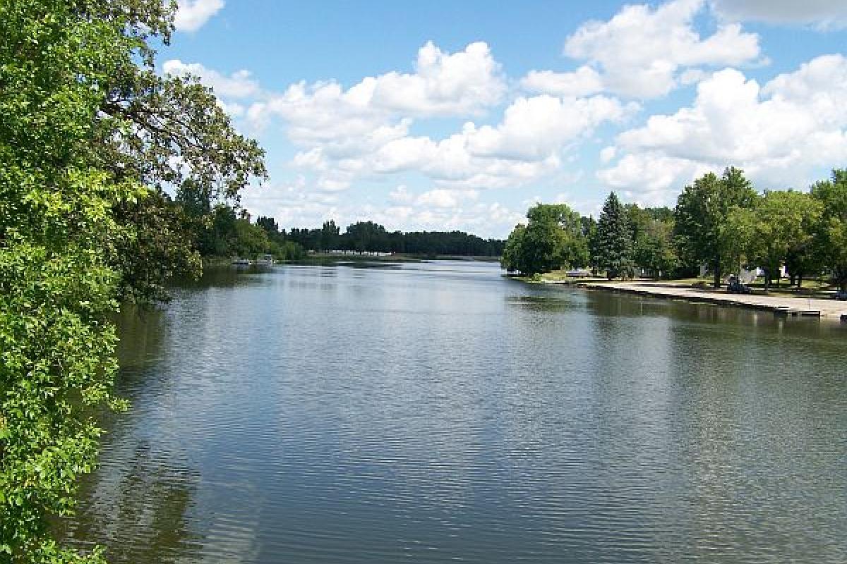 lake surrounded by tress 