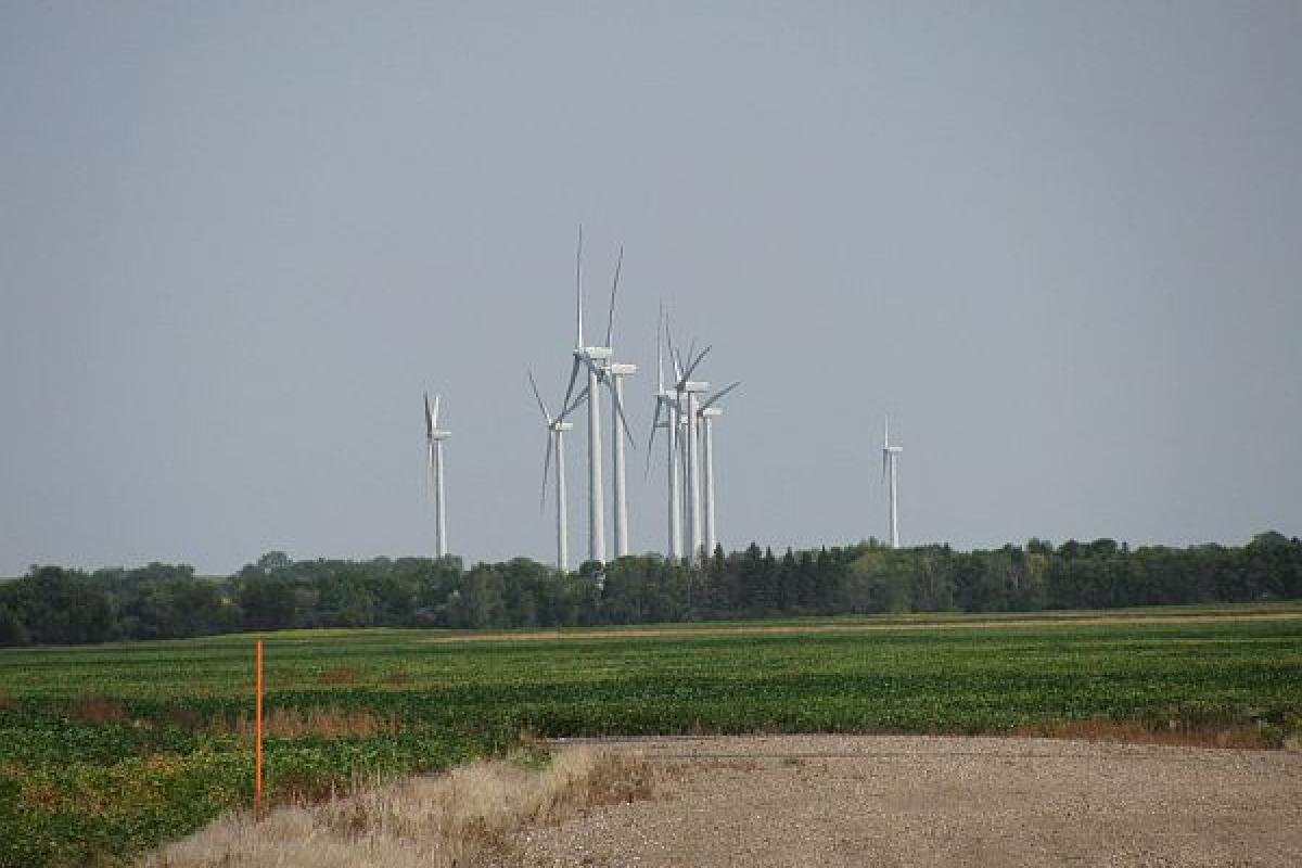 windmills in a field 