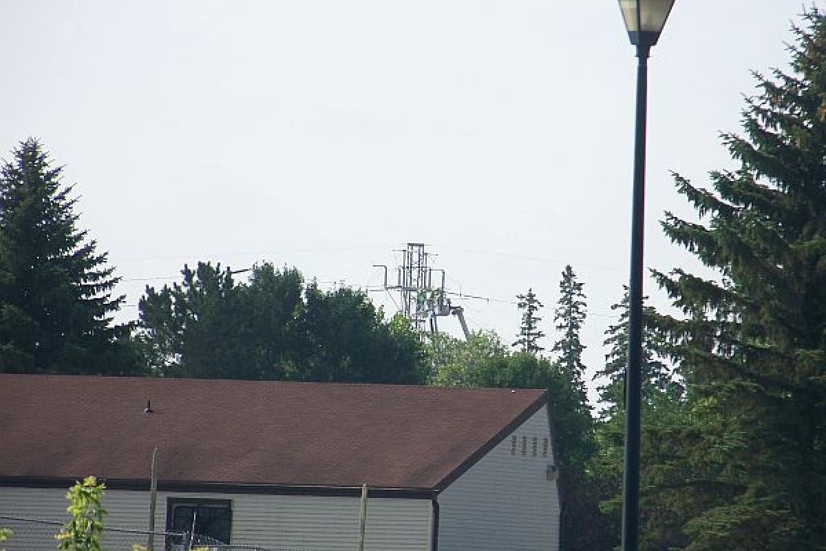 building with trees and electrical wires in the background