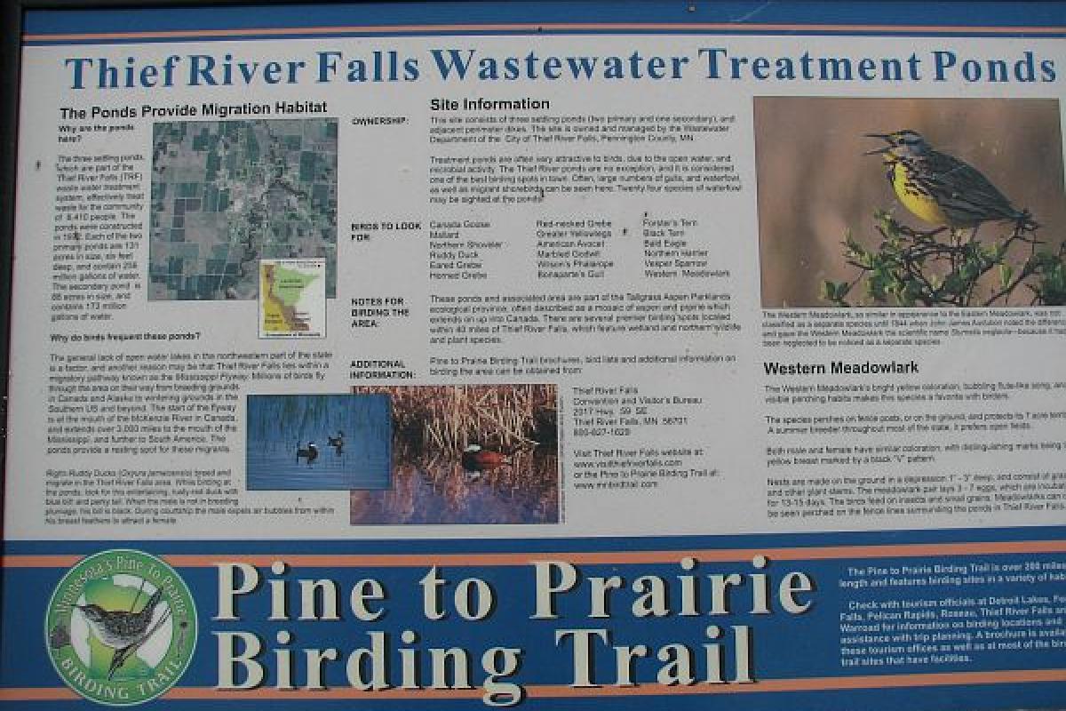 Pine to Prairie Birding Trail sign