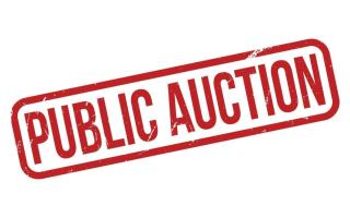 Public Surplus Auction
