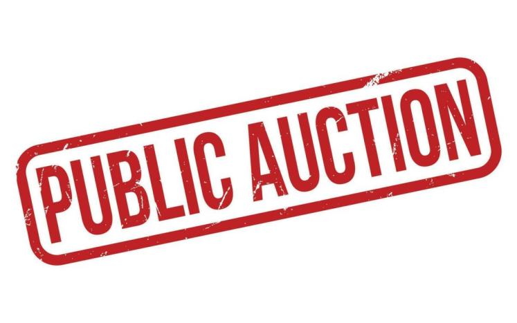 Public Surplus Auction